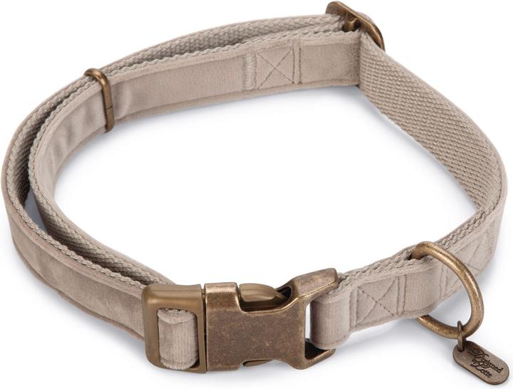 Designed by Lotte Velura (Hund, Allgemein)