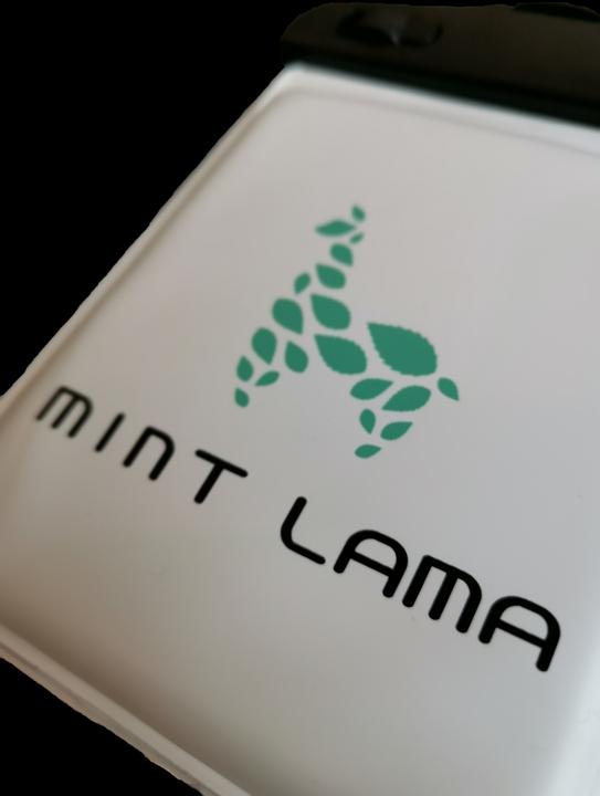 Image du produit Mint Lama Handy Hülle