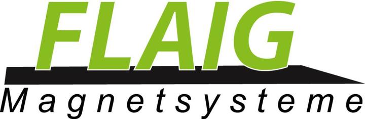 Image du produit Magni Aimant de levage FX-600 FLAIG