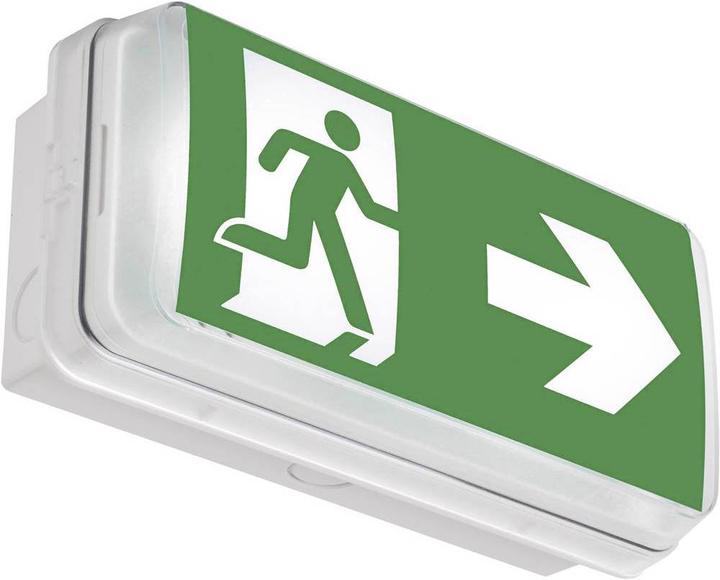 Actual product image ABB LED escape route emergency lighting