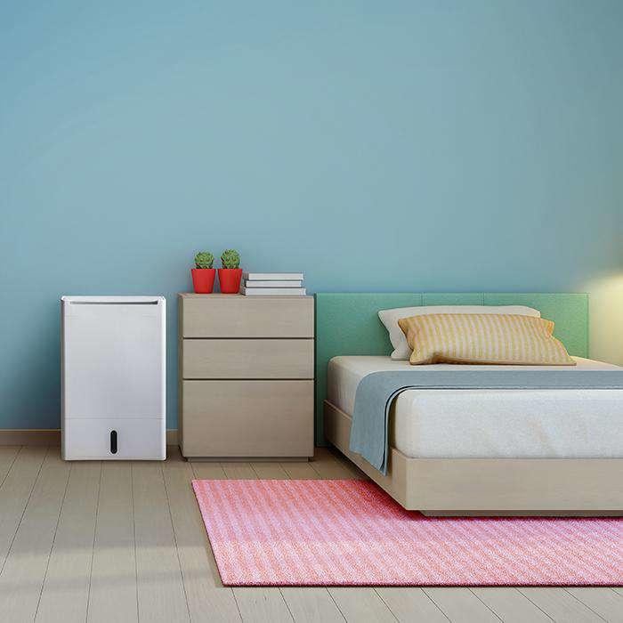 Actual product image Meaco DD8L Zambezi