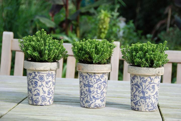 Produktbild Esschert Design Blumentopf Aged Long Tom Blumentopf (13 cm)