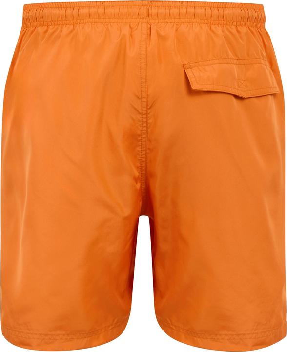 Actual product image Regatta Mens Mackleyna Swim Shorts (3XL)