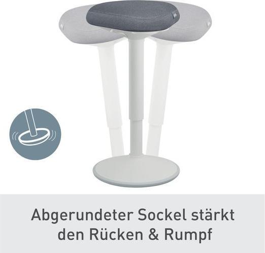 Actual product image Leitz Ergo Active