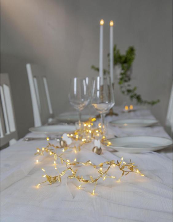 Image du produit Star Trading Guirlande lumineuse Winny (0.25 m)