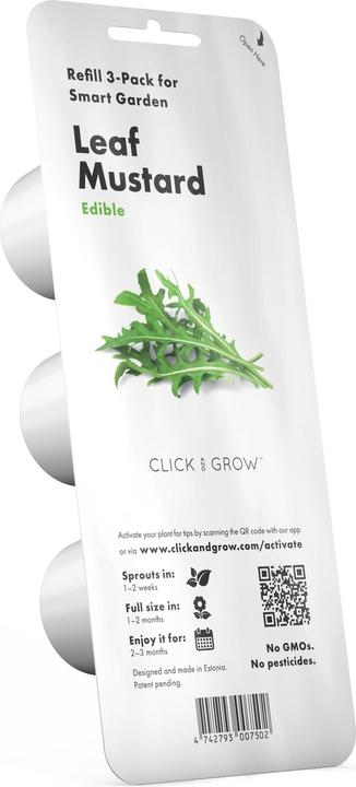 Actual product image Click and Grow leaf mustard (Herb seeds)