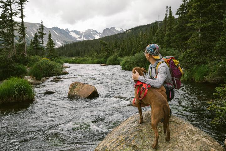 Image du produit Ruffwear Harnais pour chien Front Range (XXS, Chien, Général, Promenade)