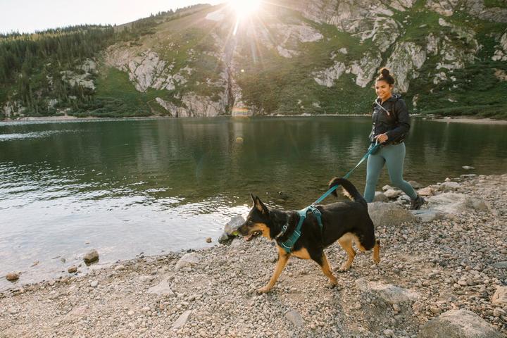 Image du produit Ruffwear Harnais pour chien Front Range (XXS, Chien, Général, Promenade)
