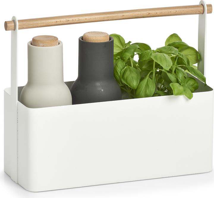 Produktbild Zeller Present Tragekorb (31.5 x 12 x 24 cm, 9.07 l)