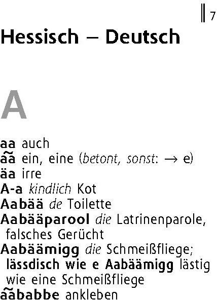 Actual product image Langenscheidt Lilliput Hessisch (German, Langenscheidt, 2023)