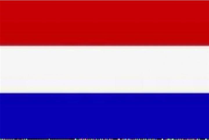 Produktbild Koopman Fahne Holland