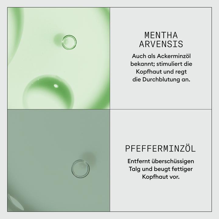 Image du produit Nioxin Dermabrasion Scalp Renew Treatment (75 ml)
