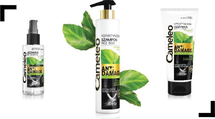 Actual product image Delia Cosmetics Cameleo BB (250 ml, Liquid shampoo)