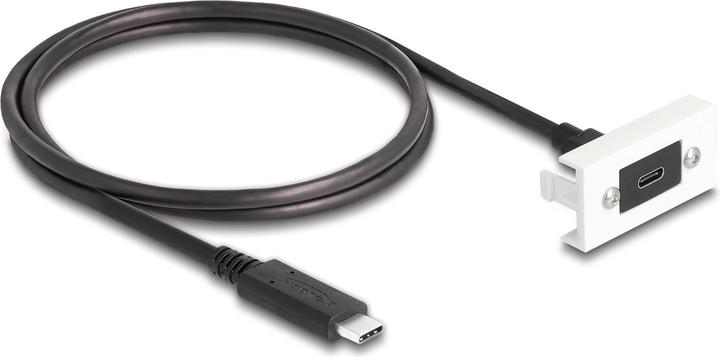 Image du produit Delock Module Easy 45 SuperSpeed USB 10 Gbps (1 m, USB 3.2 Gen 2)