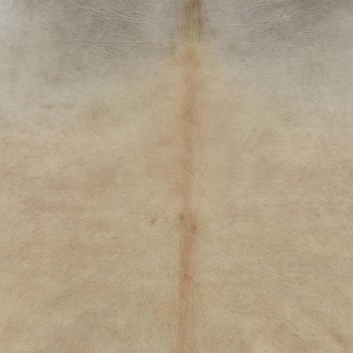 Actual product image VidaXL Lucrece