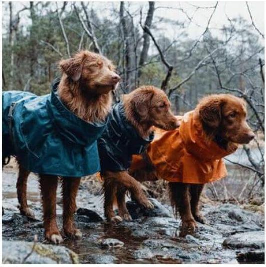 Actual product image Hurtta Monsoon raincoat dark grey (50, M, Dog raincoat)