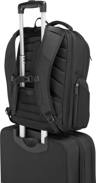 Immagine prodotto Targus Viaggiatore aziendale (30 l)