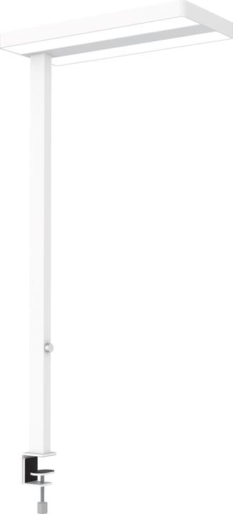 Actual product image Maul MAULJAVAL - LED lights (13060 lm)