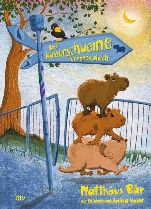 Actual product image Drei Wasserschweine brennen durch (German, Annika Voigt, Matthew bear, 2024)