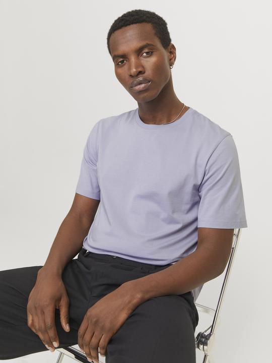 Actual product image Jack & Jones Jjeorganic Basic Tee Ss O-Neck Noos (XL)