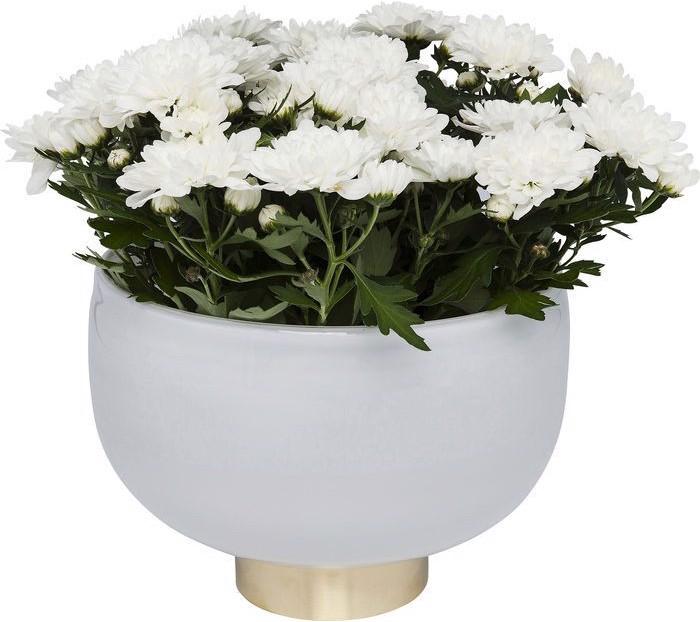 Actual product image Kare Design Vase Pure White Bowl 17cm
