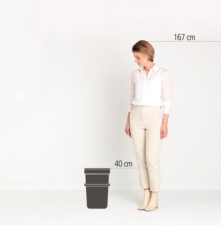 Actual product image Brabantia Sort & Go (16 l)