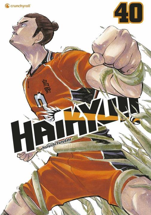 Immagine prodotto Haikyu!! – Band 40 (Tedesco, Haruichi, Furudate, 2024)