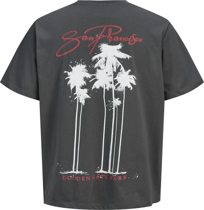 Produktbild Jack & Jones Jorbradley Goldengate Tee Ss C.N Stmss25 (XS)