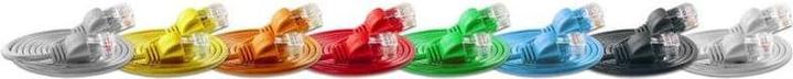 Actual product image Wirewin Network cable, round (UTP, CAT6, 0.50 m)