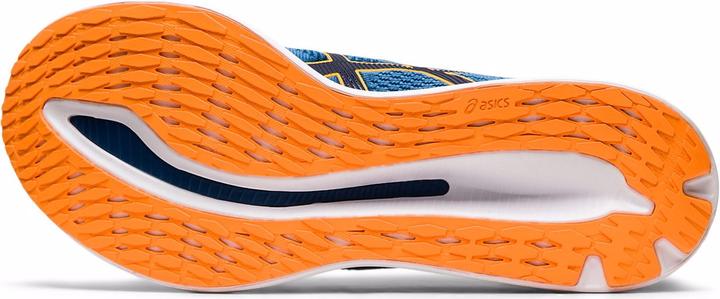 Immagine prodotto ASICS Performance Glideride (44.5)
