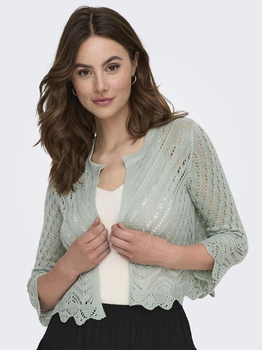 Image du produit JdY Cardigan cropped (L)