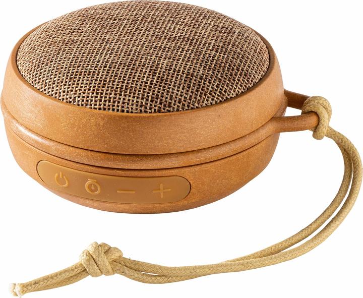 Membantu Echo