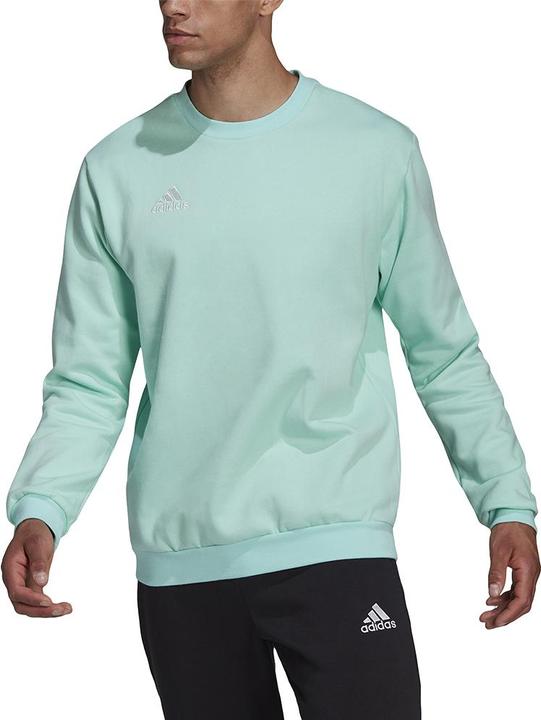 Produktbild adidas Entrada 22 Sweatshirt (L)