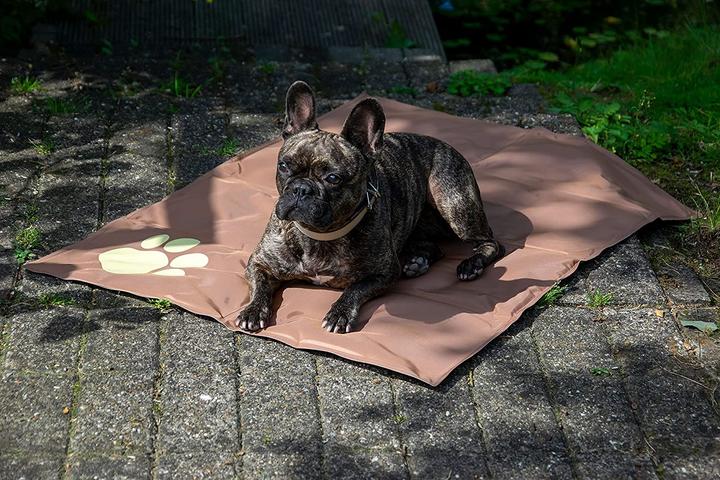 Produktbild Dobar Kühlmatte mit beigen Pfote 99,5 x 70 cm braun (Hund)