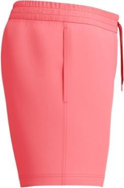 Actual product image Speedo Essential 16" Watershort (XL)