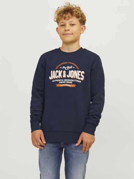 Actual product image Jack & Jones JJELOGO SWEAT CREW 2 COL 24/25 NOOS MNI (122)