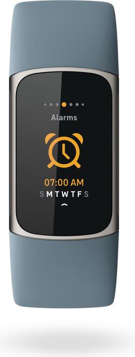 Productafbeelding Fitbit Lading 5 & Busbi Wasp (26 mm)