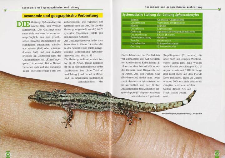 Image du produit Kugelfingergeckos (Allemand, Beate Röll, 2006)