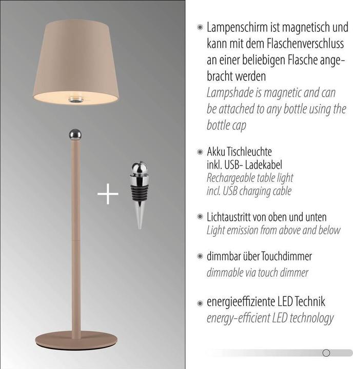 Image du produit Just Light Lampe bouteille à LED (320 lm)