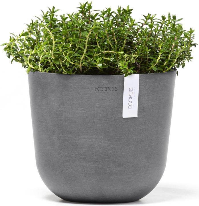 Actual product image Ecopots Oslo Mini (19 cm)