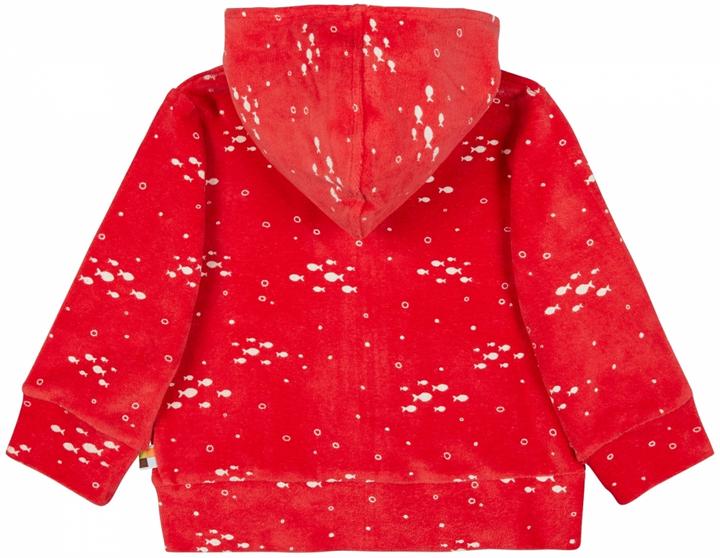 Immagine prodotto loud + proud Giacca con cappuccio Terrycloth (62)