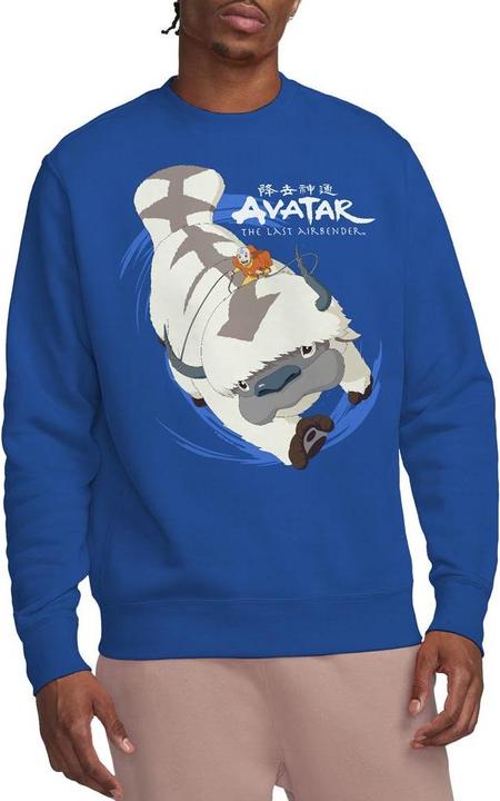 Immagine prodotto Avatar: The Last Airbender In Flight Felpa Appa Adulto Unisex (L)