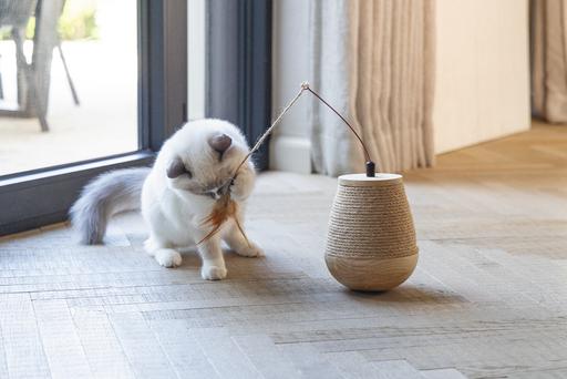 Actual product image Designed by Lotte Tumble Mae (Catmint toy)
