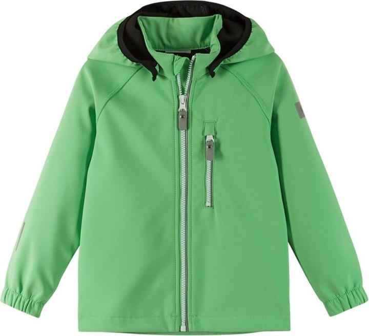 Cicalino Verde