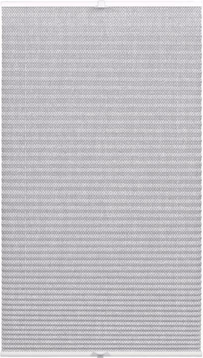 Wohnidee Kollektion Pleated blind with 2 operating rails