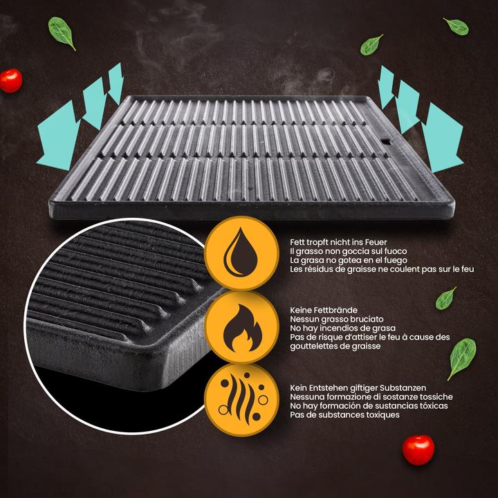 Image du produit CLP Plaque de cuisson en fonte