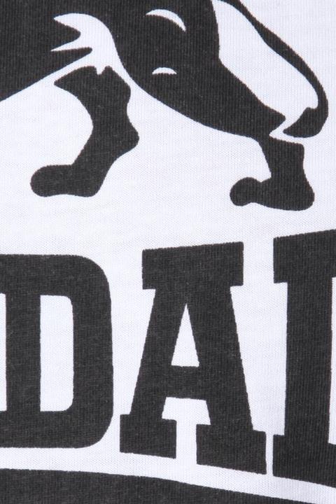 Produktbild Lonsdale Regular logo (M)