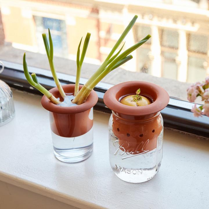 Actual product image Kikkerland Terracotta Regrower (16 cm)