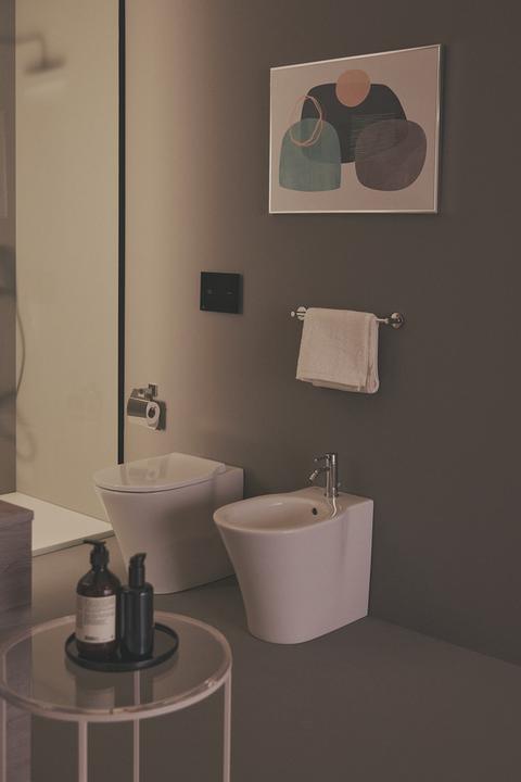 Actual product image Ideal Standard WC seat E036601
