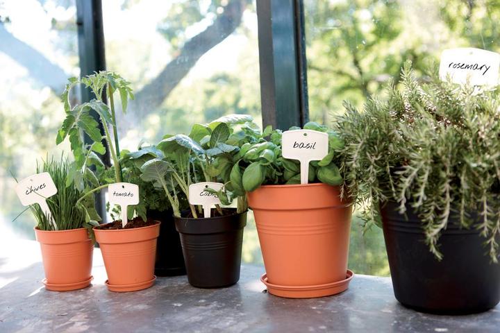 Produktbild Elho Pflanzgefäss (11 cm)